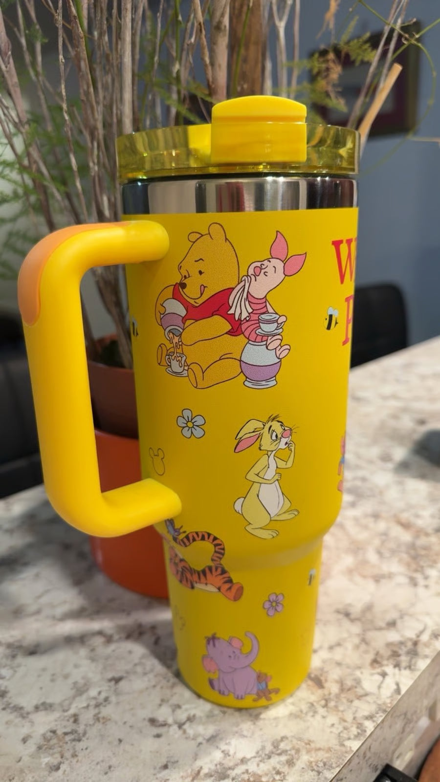 Exclusive Winnie The Pooh Tumbler 40oz